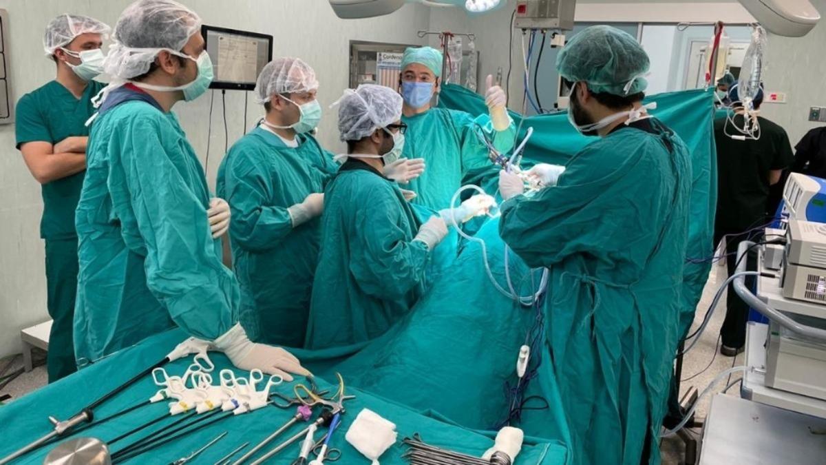 &Ccedil;evrim İ&ccedil;i Laparoskopik B&ouml;brek T&uuml;m&ouml;r&uuml; Kursu