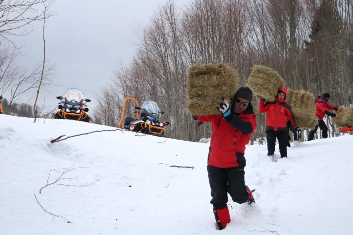 Karla kaplı ormanlara paletli ara&ccedil;larla gelip yaban hayvanlarını beslediler