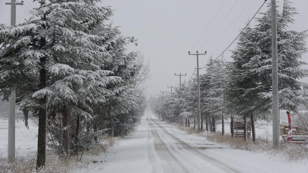 Isparta&rsquo;da bazı il&ccedil;e ve k&ouml;yler beyaza b&uuml;r&uuml;nd&uuml;