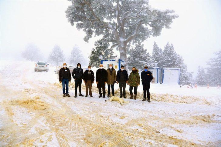 Başkan Gürün kar küreme çalışmalarını inceledi G3