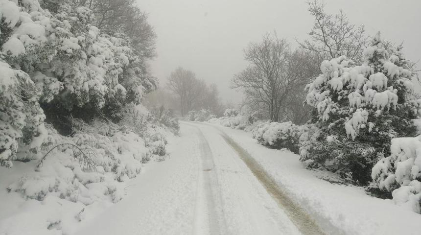Kar yağışı zeytin ağa&ccedil;larına yaradı