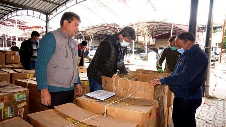 Sarıgöl’de tütün alımlarına başlandı G2