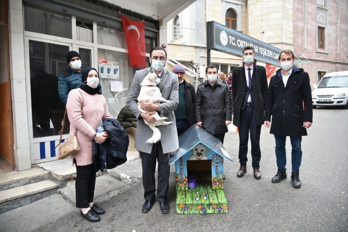 Vefalı k&ouml;pek &lsquo;Boncuk&rsquo; kul&uuml;besine kavuştu