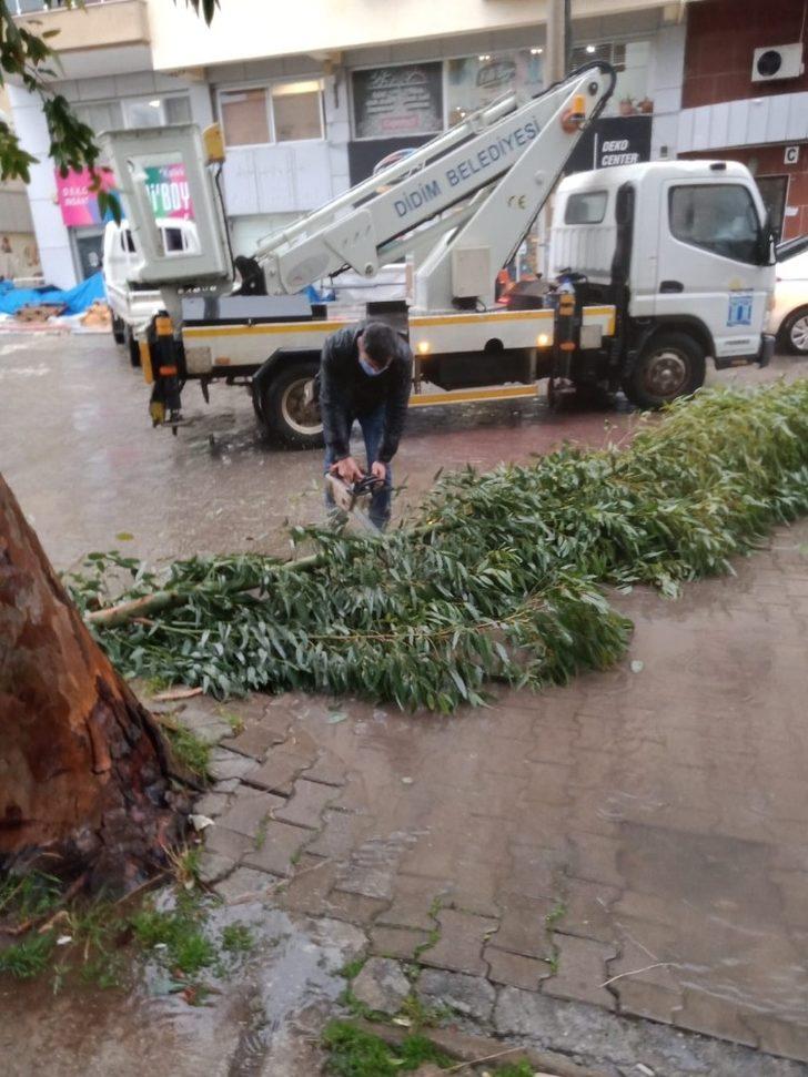 Didim Belediyesi yağış sonrası olumsuzlukları anında giderdi G2