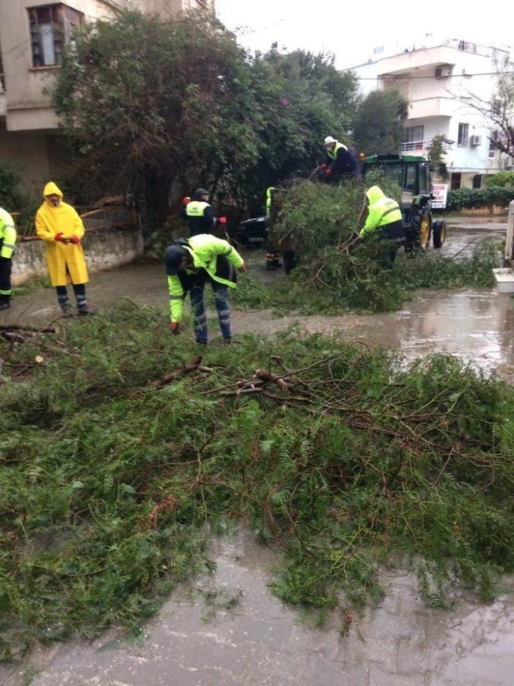 Didim Belediyesi yağış sonrası olumsuzlukları anında giderdi G4