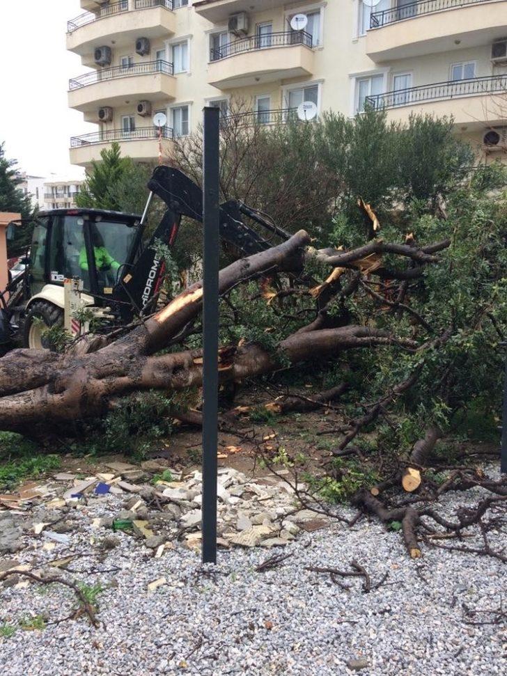 Didim Belediyesi yağış sonrası olumsuzlukları anında giderdi G5