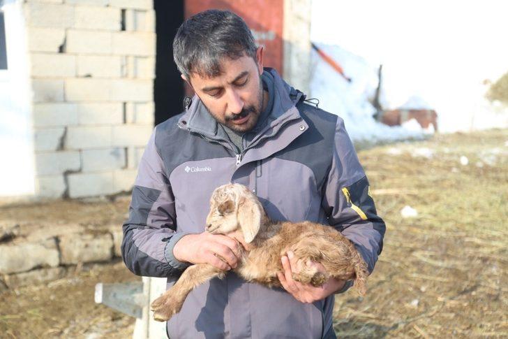 Arka bacakları kısa doğdu G4