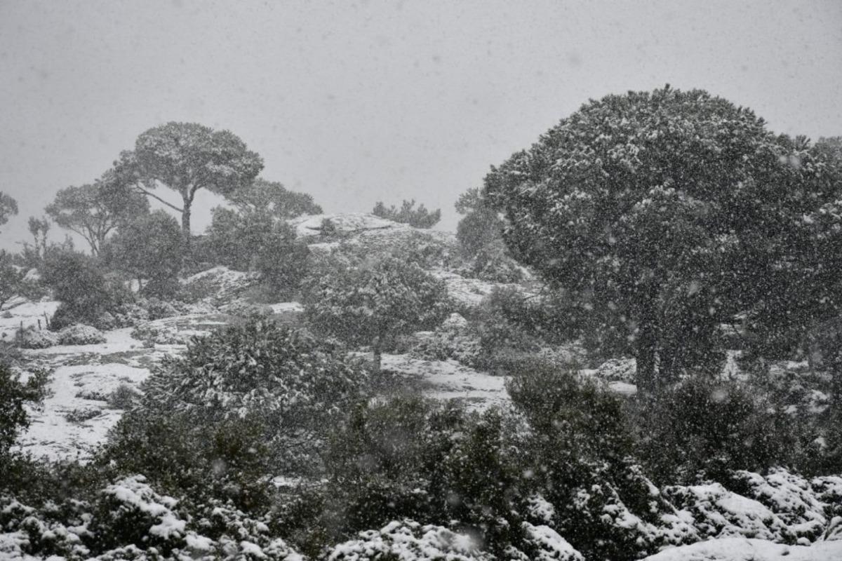 S&ouml;ke&rsquo;de y&uuml;ksek kesimlerde kar yağışı etkili oldu