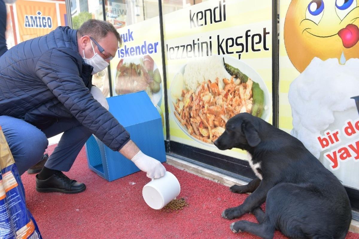 &Ccedil;iğli Belediyesi veterinerlik hizmetlerinde rekor artış
