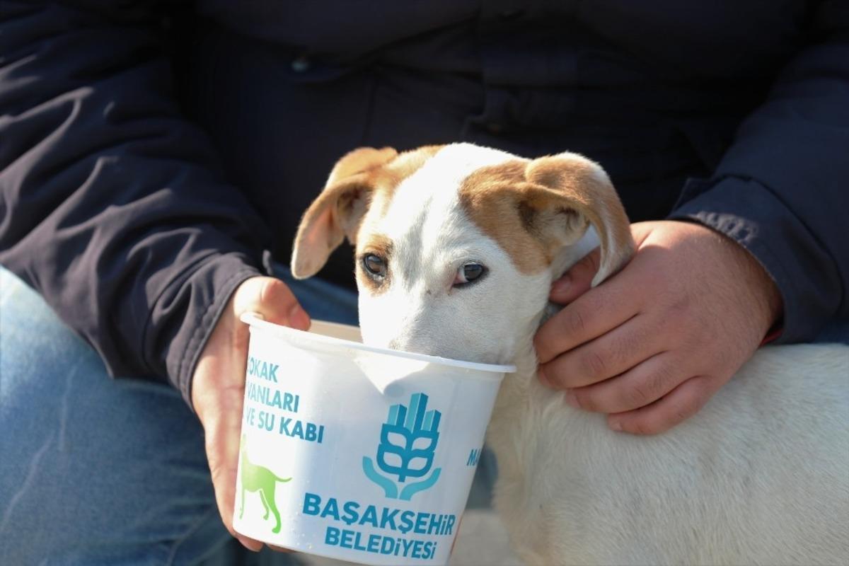 Başakşehir Belediyesi&rsquo;nden can dostlarına 1 ton mama