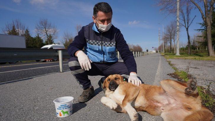 Başakşehir Belediyesi’nden can dostlarına 1 ton mama G2