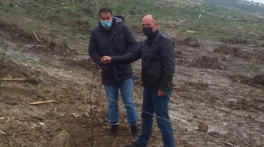 Didim’de erkenci kayısı fidanları toprakla buluştu