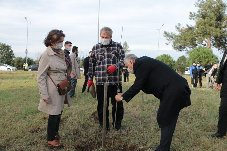 EMŞAV’dan Şehit ve Gaziler Hatıra Ormanı’na fidan dikimi G1