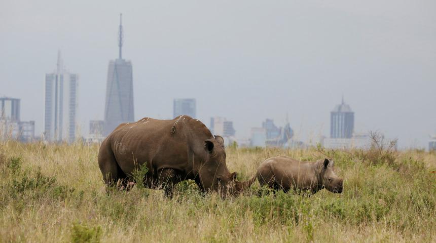 Batılı çift serbest bırakıldı