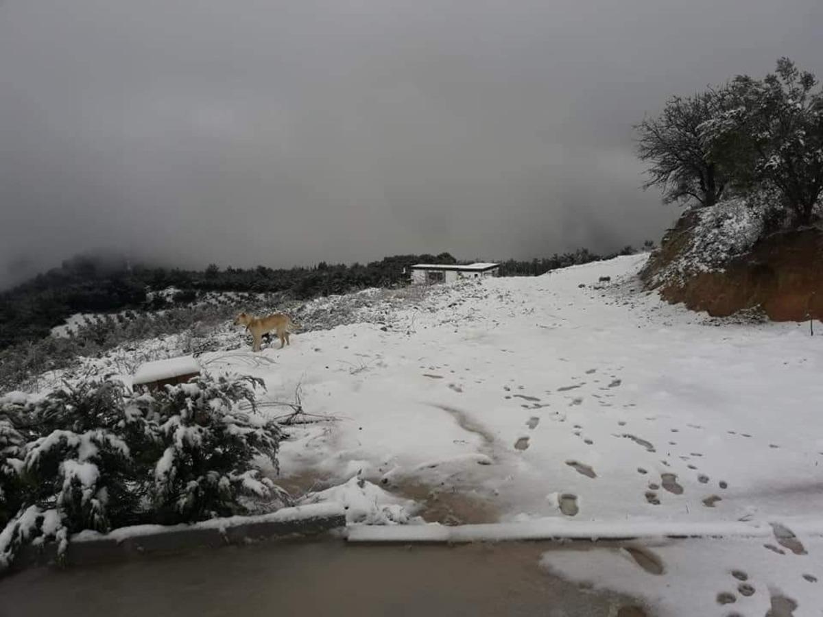 Kuşadalılar, kar g&ouml;rmek i&ccedil;in y&uuml;ksek kesimlere akın etti