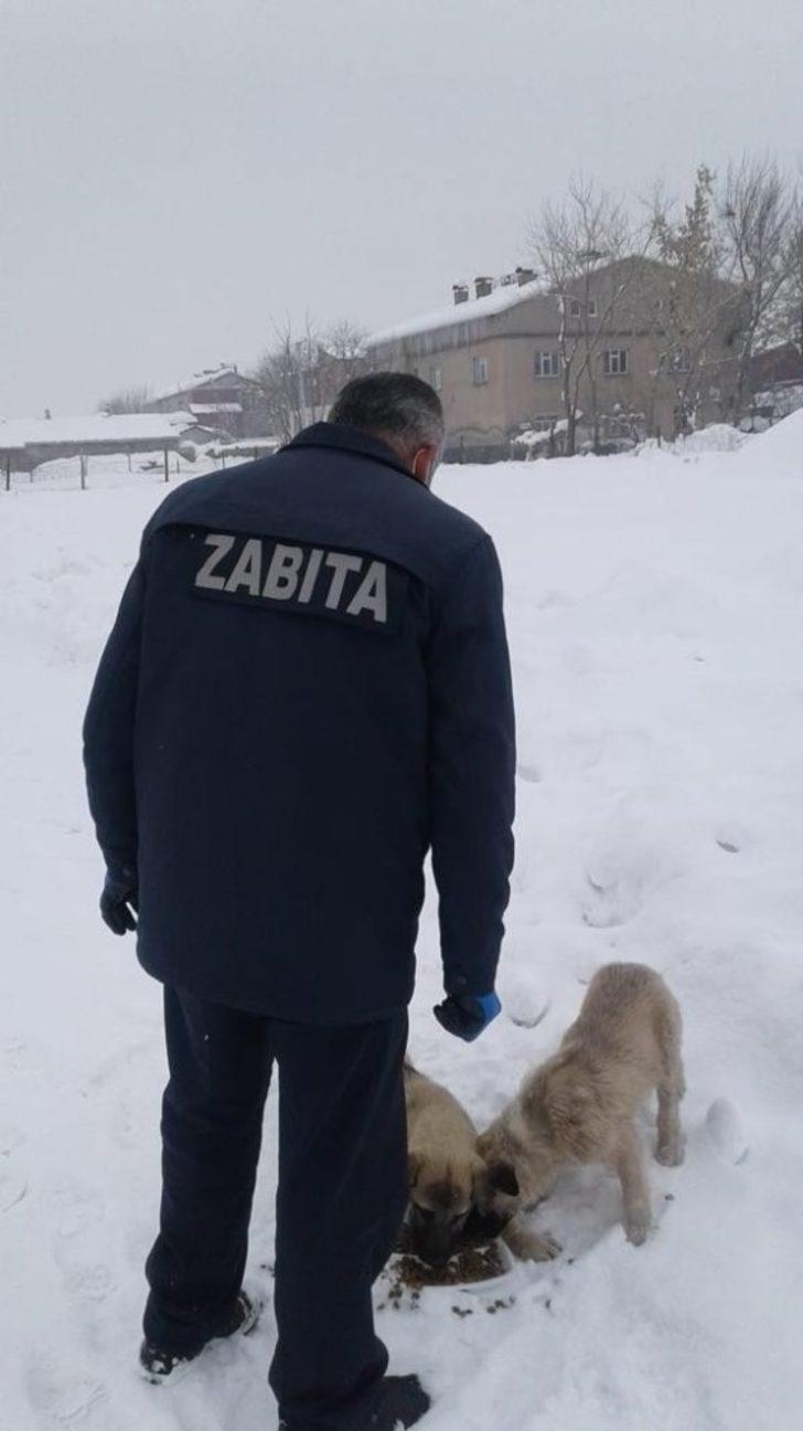 Güroymak Belediyesinden sokak hayvanlarına mama desteği G3