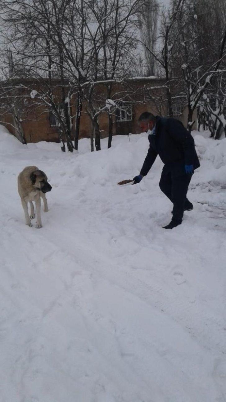 Güroymak Belediyesinden sokak hayvanlarına mama desteği G5