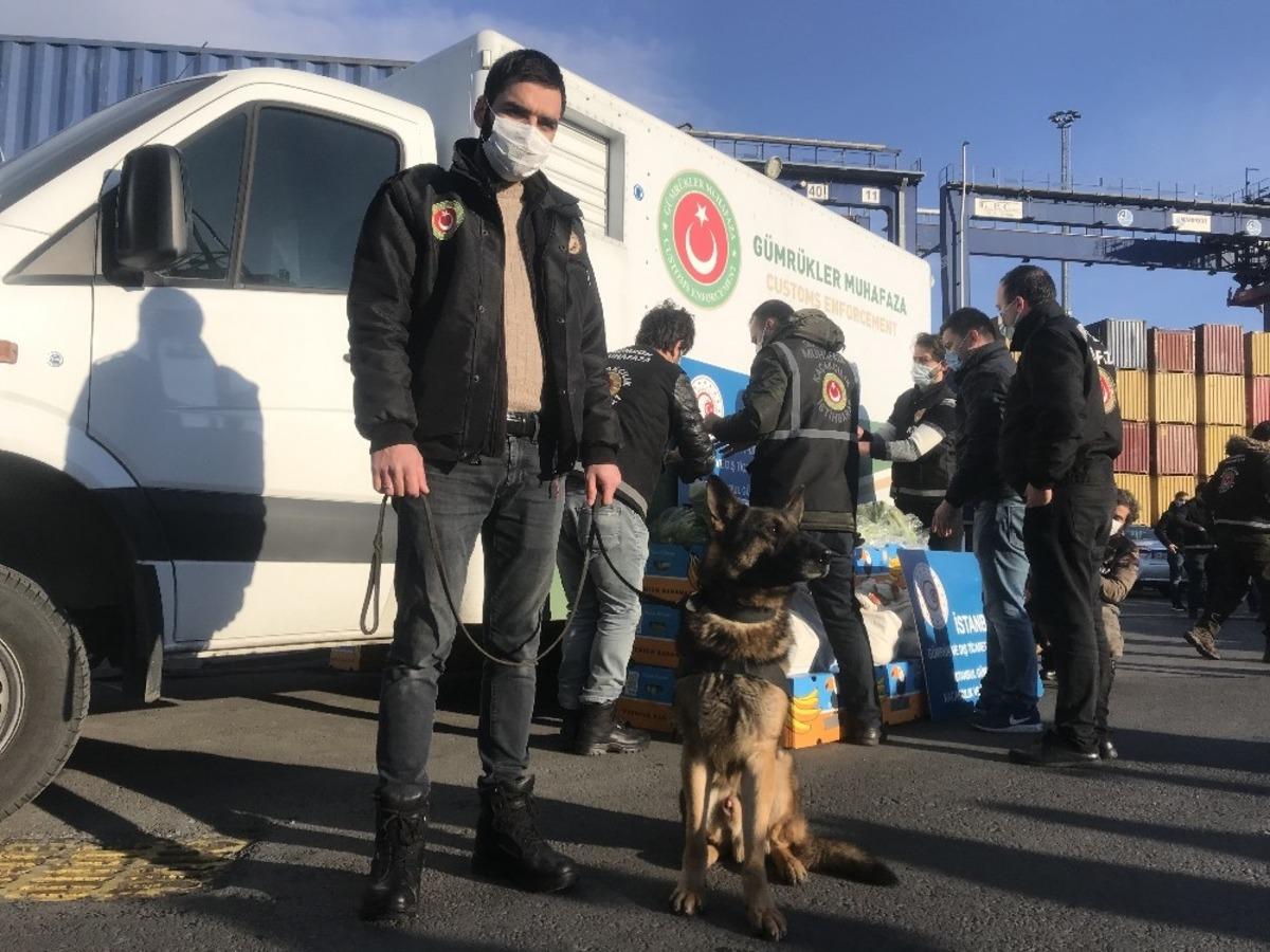 Ambarlı Limanı&rsquo;nda muz konteynerinden uyuşturucu fışkırdı