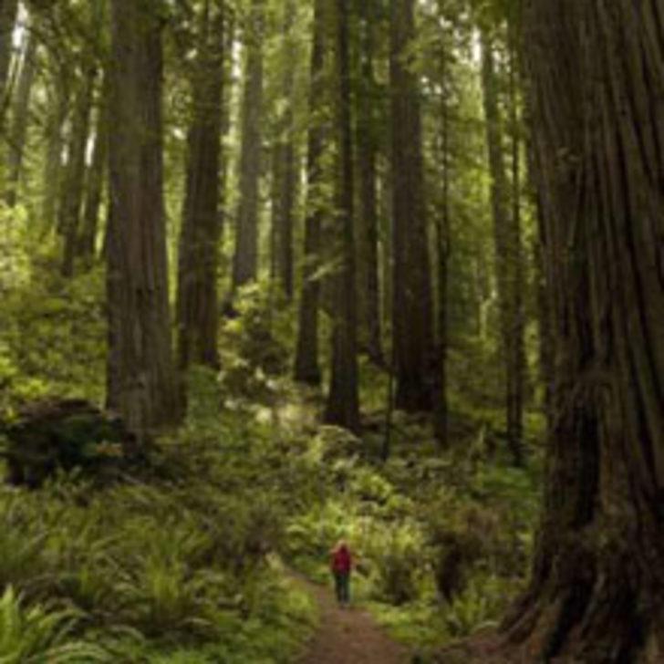 Hayat Stilinizi Değiştirin