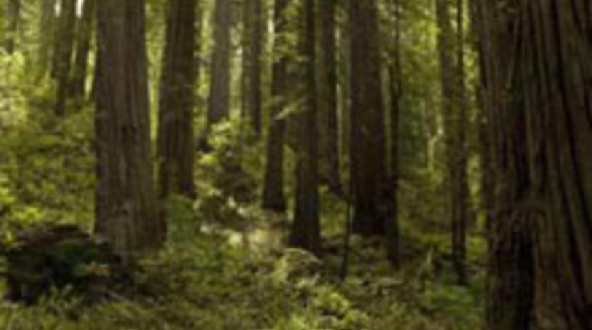 Hayat Stilinizi Değiştirin