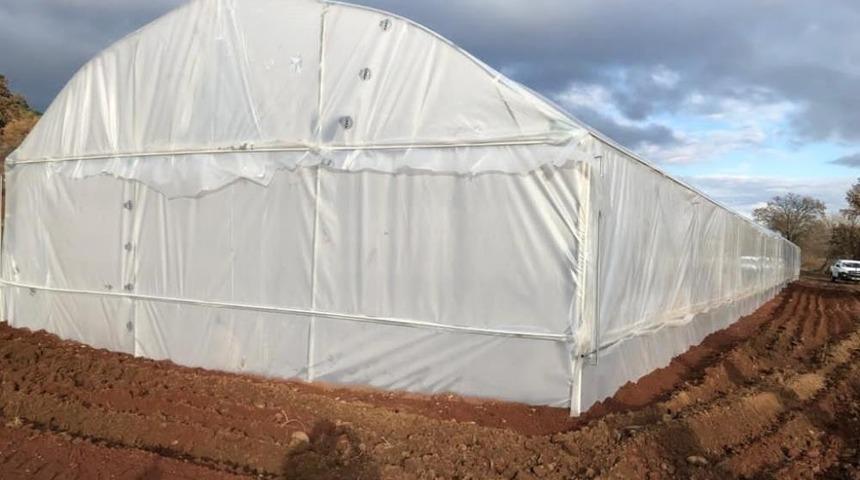 Salihli ve Turgutlu&rsquo;ya teknolojik sera kurulacak