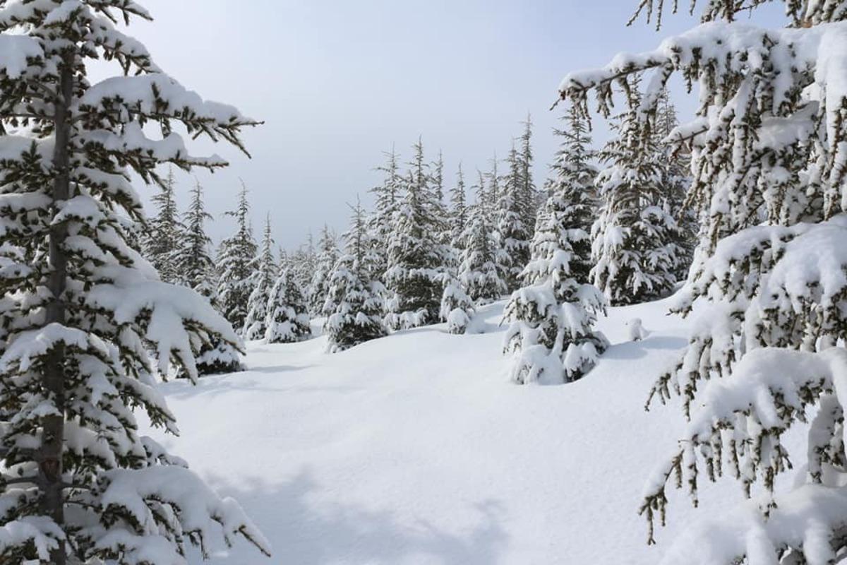 Başyayla&rsquo;ya yakan kar, kartpostallık g&ouml;r&uuml;nt&uuml;ler oluşturdu
