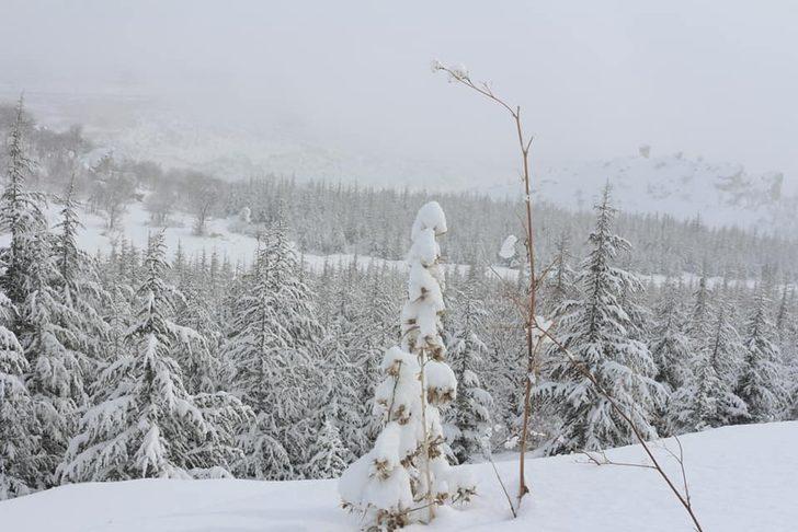 Başyayla’ya yakan kar, kartpostallık görüntüler oluşturdu G3