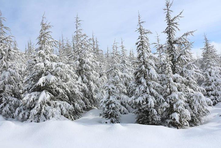 Başyayla’ya yakan kar, kartpostallık görüntüler oluşturdu G4