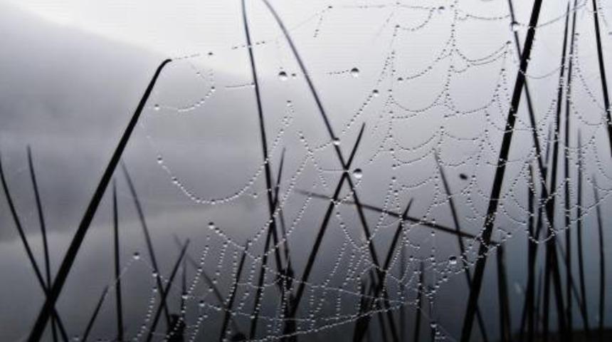 Karatay Kent Konseyi’nin fotoğraf yarışması sonuçlandı