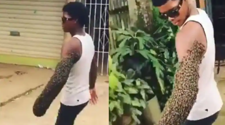 Binlerce arıyı kolunda taşıyor! Nedenine inanamayacaksınız