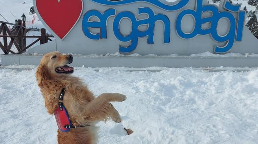 Jandarma arama kurtarma k&ouml;peği &lsquo;Bulut&rsquo; Ergan&rsquo;da poz verdi