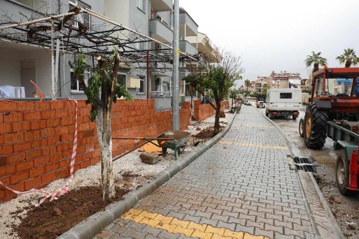 Marmaris&rsquo;te cadde yenilemesi sırasında kaldırılan ağa&ccedil;lar yeniden toprakla buluştu