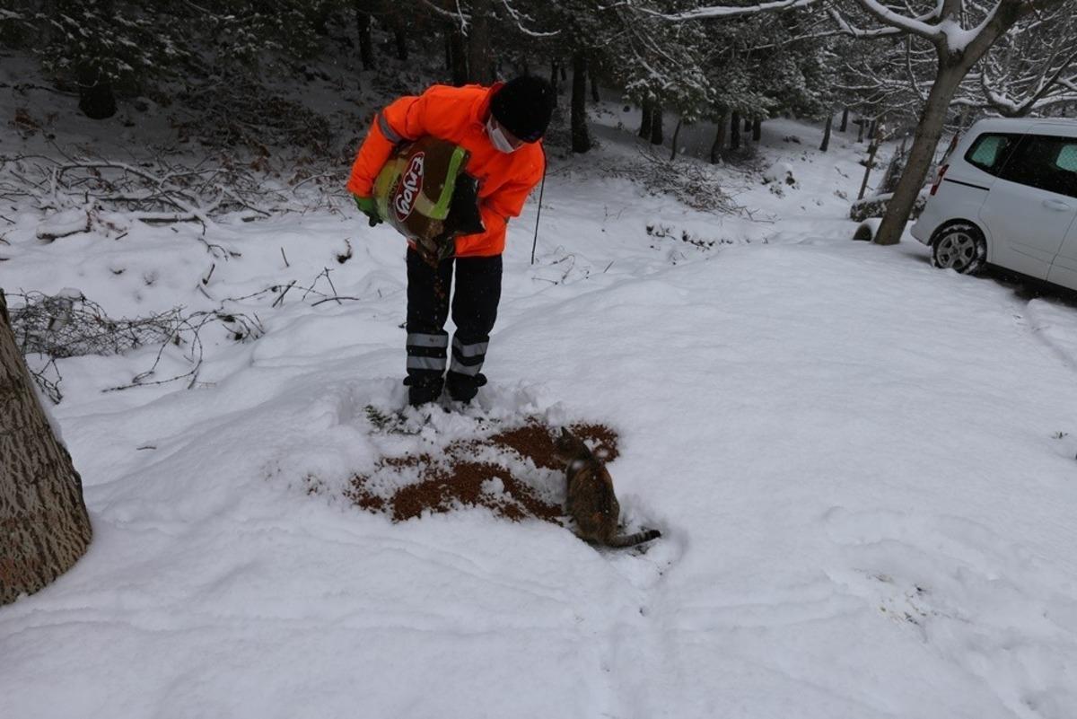 Efeler Belediyesi kar mesaisi yaptı