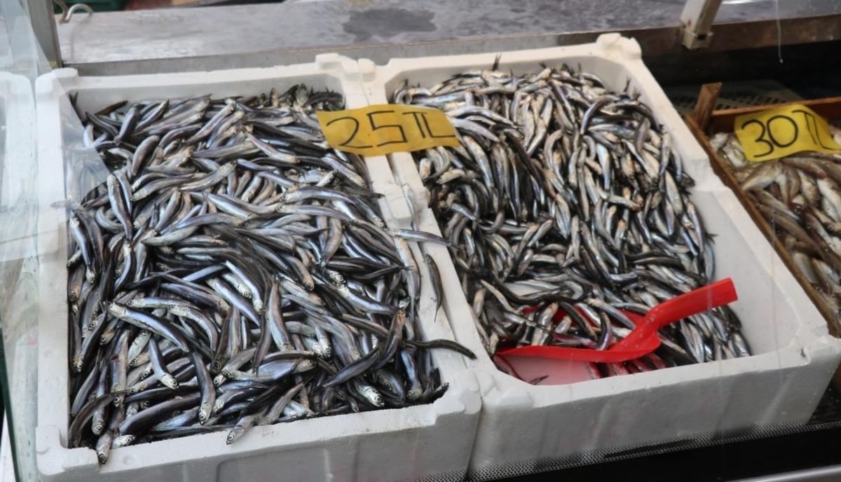 Hamsi avı yasağı fiyatları artırdı