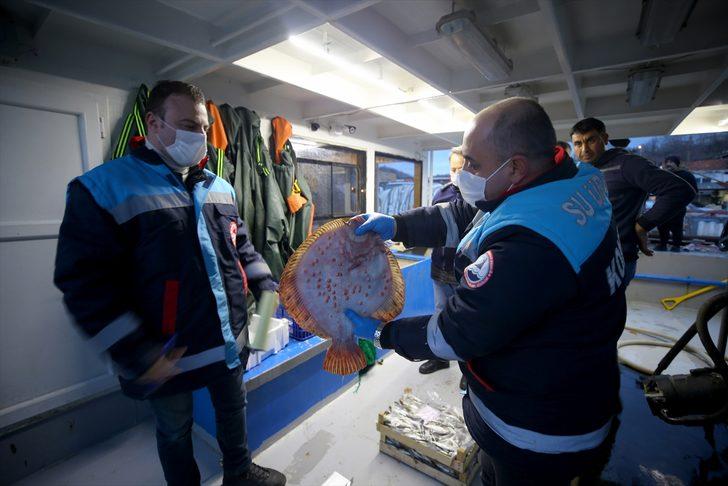 Lodosun ardından İğneada'da hamsinin izini süren balıkçılar umduğunu bulamadı G5