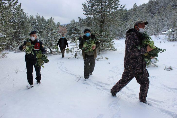 Jandarma ve avcılar, yaban hayvanlarına yiyecek bıraktı G1
