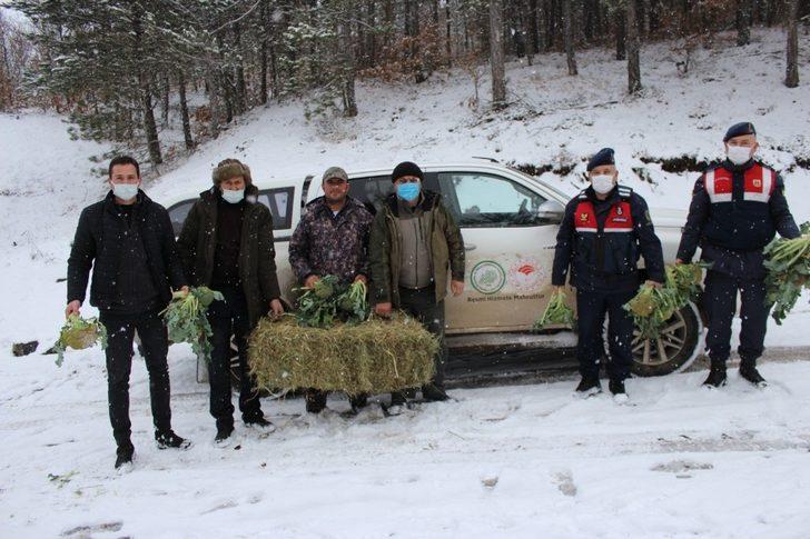 Jandarma ve avcılar, yaban hayvanlarına yiyecek bıraktı G2
