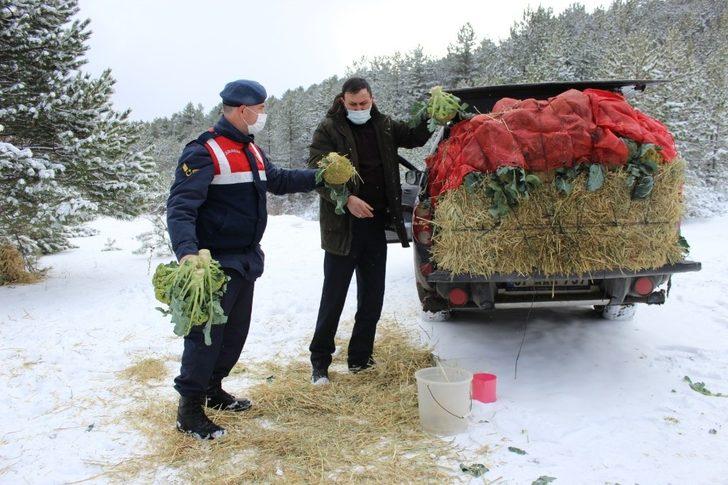 Jandarma ve avcılar, yaban hayvanlarına yiyecek bıraktı G3