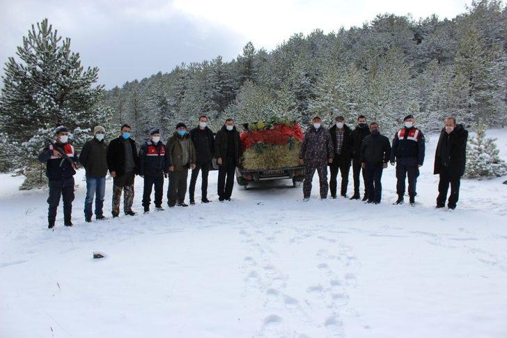 Jandarma ve avcılar, yaban hayvanlarına yiyecek bıraktı G4