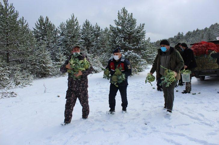 Jandarma ve avcılar, yaban hayvanlarına yiyecek bıraktı G5