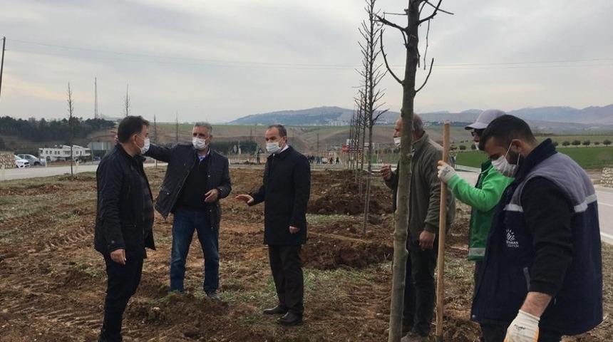 Başkan Kılın&ccedil; ağa&ccedil;landırma &ccedil;alışmalarını inceledi