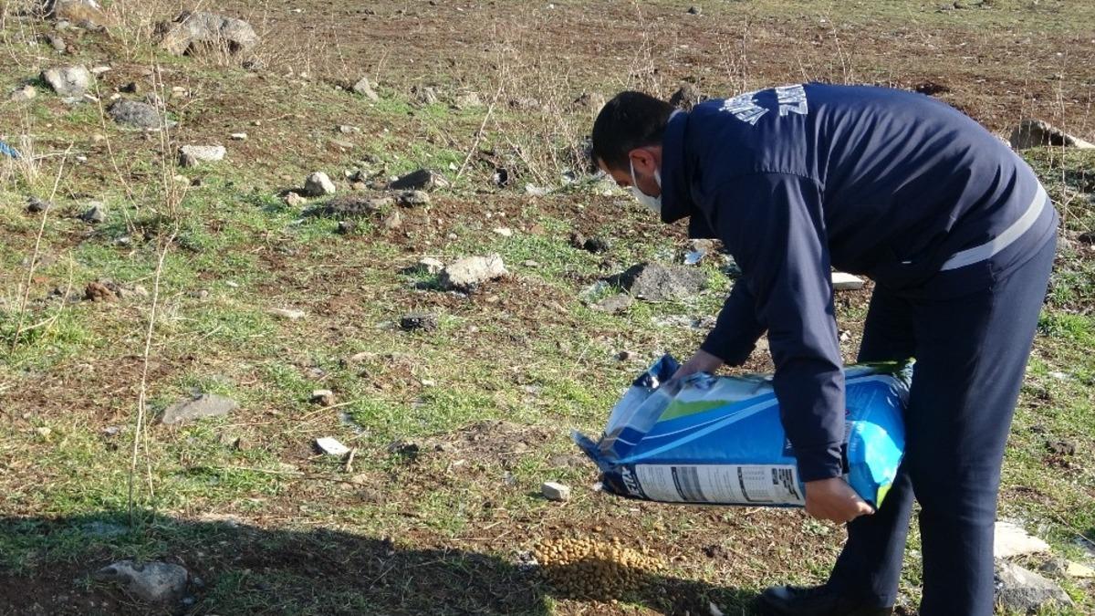 Diyarbakır&rsquo;da sokak hayvanları i&ccedil;in belirli noktalara mama bırakıldı