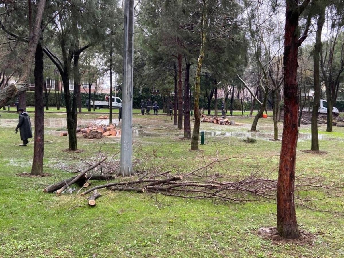 Manisa B&uuml;y&uuml;kşehir sağanak ve fırtına sonrası yaraları sardı