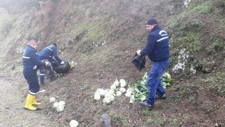 Manisa’da pazar artıkları yılkı atlarına yem oldu G3