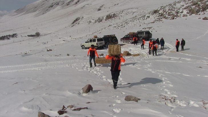Kahramanmaraş'ta gönüllüler yaban hayvanları için doğaya yem bıraktı G1
