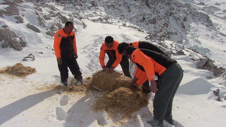 Kahramanmaraş'ta gönüllüler yaban hayvanları için doğaya yem bıraktı G2