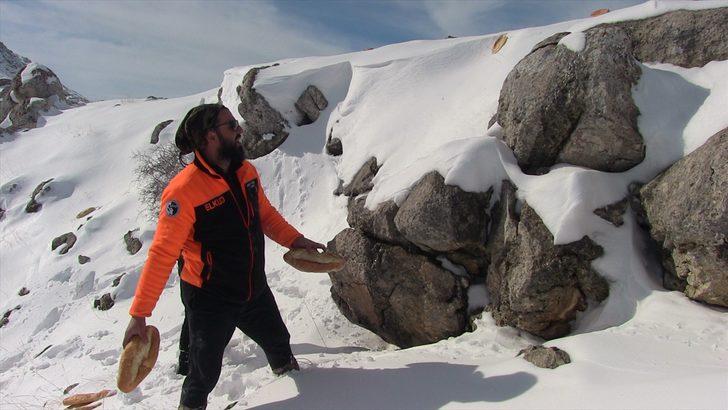 Kahramanmaraş'ta gönüllüler yaban hayvanları için doğaya yem bıraktı G3
