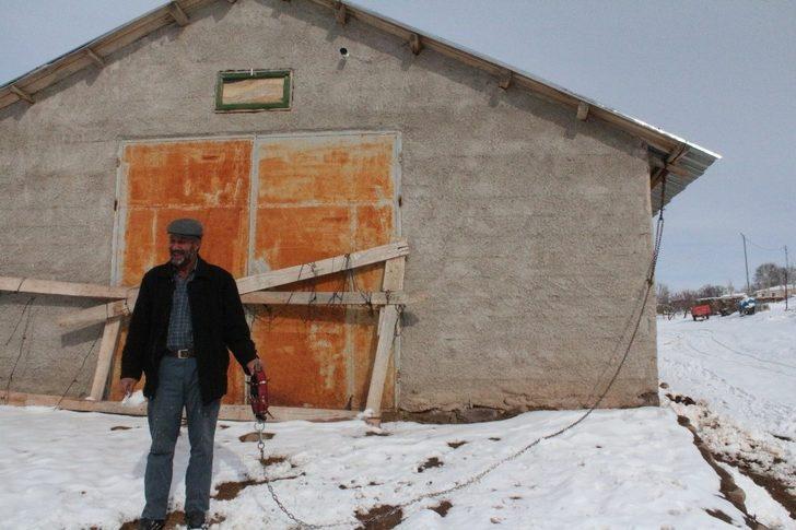 Köye inen kurt sürüsü köpeği parçaladı, o anlar kameraya yansıdı G1