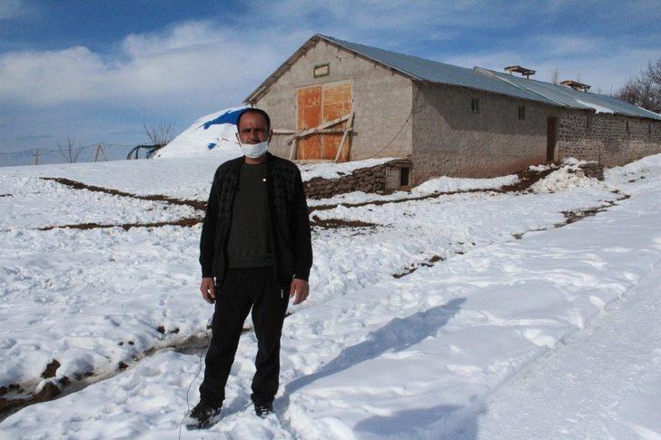 Köye inen kurt sürüsü köpeği parçaladı, o anlar kameraya yansıdı G2