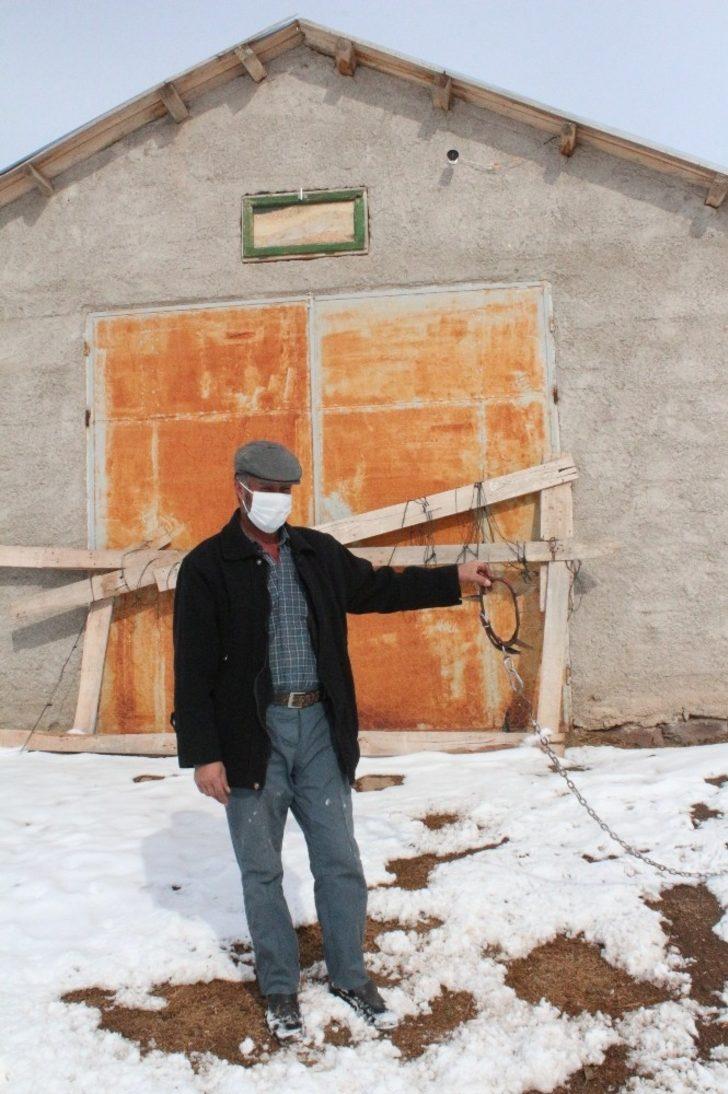 Köye inen kurt sürüsü köpeği parçaladı, o anlar kameraya yansıdı G4